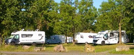 Foto: Schnelles Internet für Campinggäste in Trier